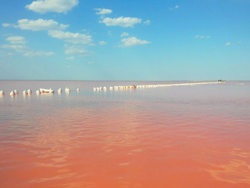 Розовое озеро в Крыму под Евпаторией фото